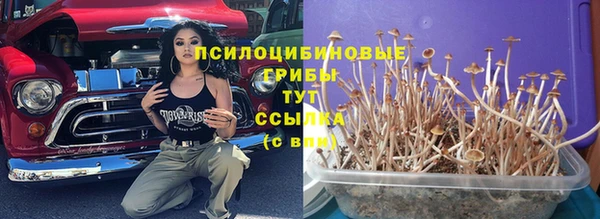 MESCALINE Няндома